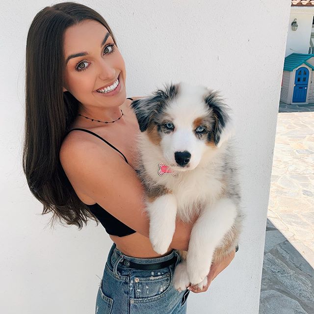 A woman carrying a Australian Shepherd puppy in her arms
