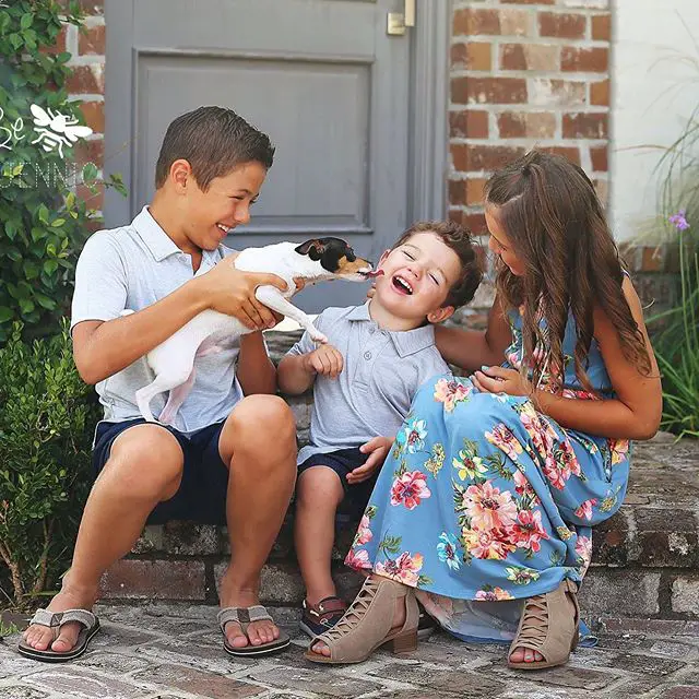 three children sitting by the front door while one is holding a Toy Fox Terrier puppy that licking the face of the young boy