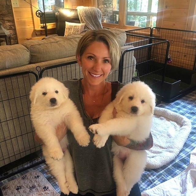 A woman inside the crate while carrying two Great Pyrenee puppies