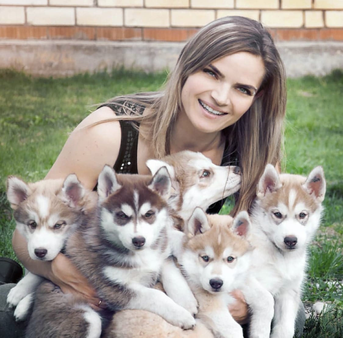 A woman sitting on the grass with her five Husky puppies