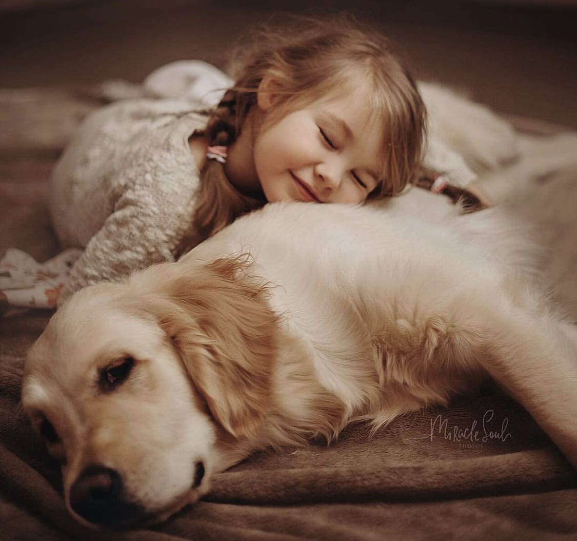 a young girl resting its face on the back of Golden Retriever lying down on the bed
