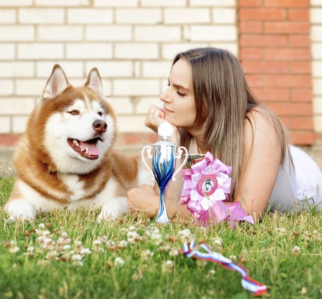 A Husky lying in the yard with a woman behind a trophy and a ribbon