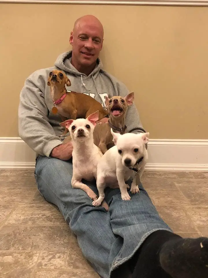 A man sitting on the floor with his four Chihuahuas sitting on his lap
