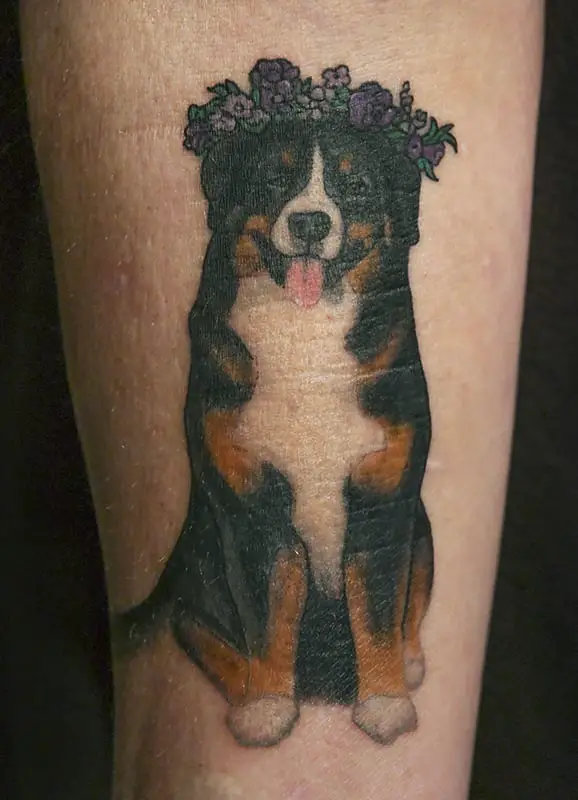 A sitting Bernese Mountain Dog wearing a flower crown tattoo on the thigh