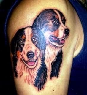two Bernese Mountain Dogs tattoo on the shoulder