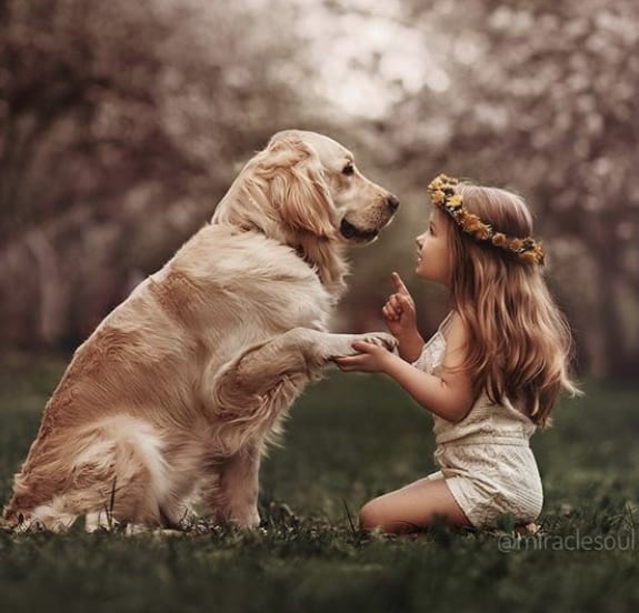 Golden Retriever giving a paw to a young girl sitting in front of him at the park