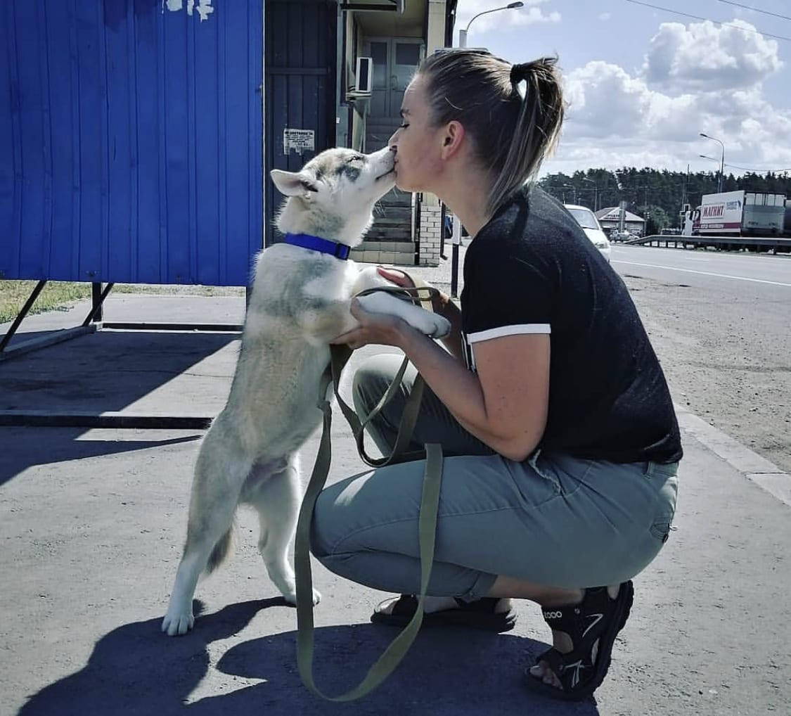 a woman kissing the Husky puppy standing up leaning towards her