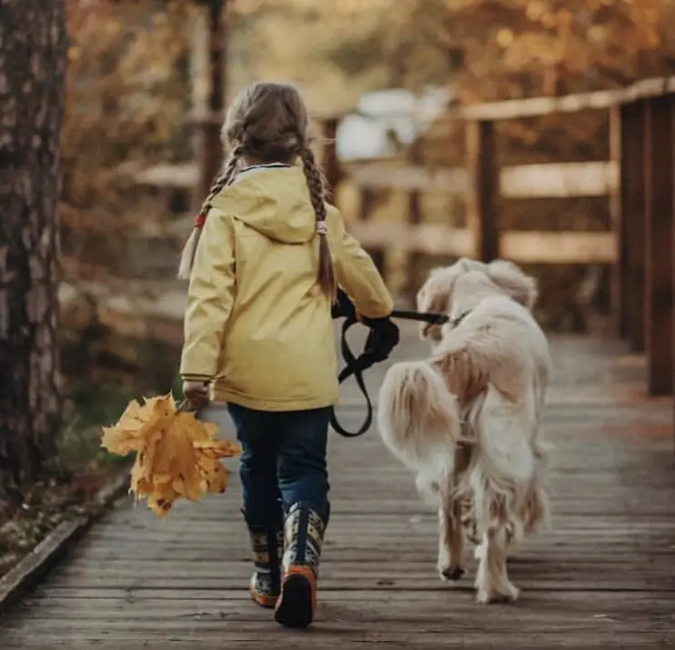a young girl walking in the wooden pathway at the park with her Golden Retriever