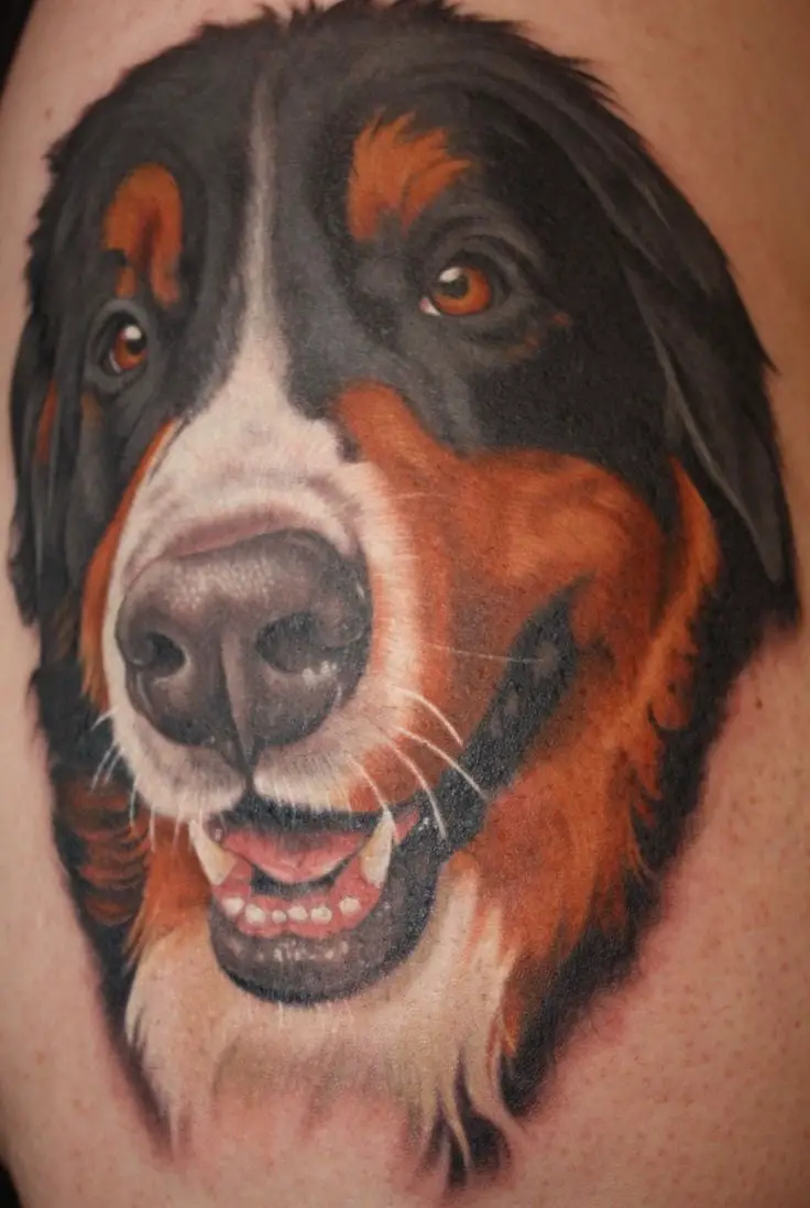 happy face of a Bernese Mountain Dog tattoo