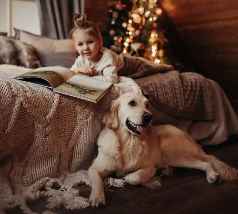 a young girl reading a book on top of the bed with a christmas tree behind her and her Golden Retriever lying down on the floor