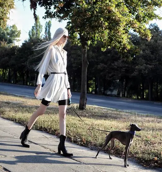 A model walking in the street while holding the leash of the Greyhound puppy walking beside him