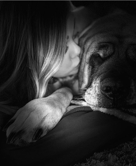 A black and white photo of a woman kissing a Mastiff sleeping beside her