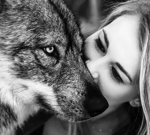 a girl kissing the side of a wolf's face