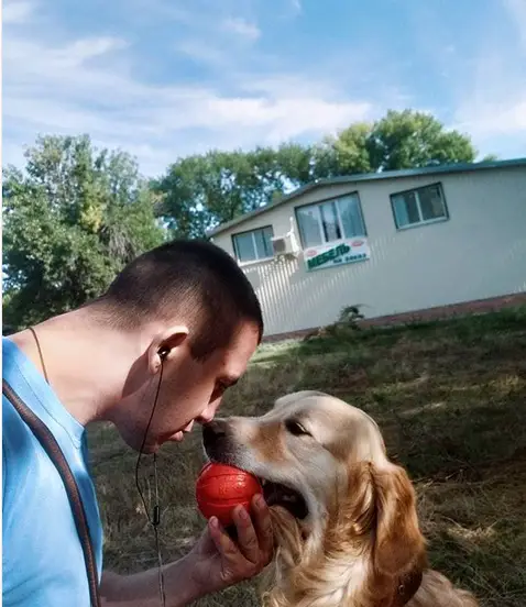 A woman with its nose pressing towards the nose of a Golden Retriever sitting in front of him while holding the ball from its mouth