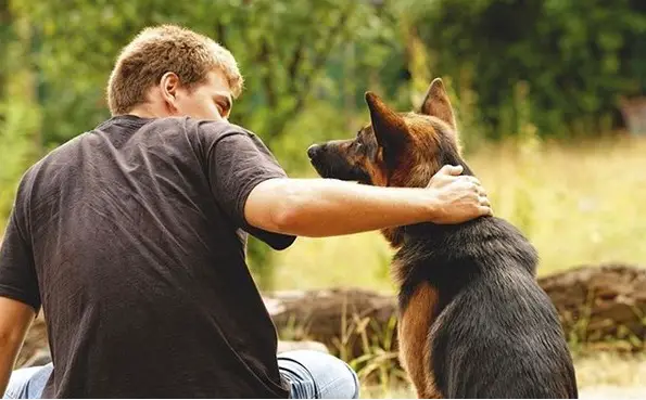 a man sitting in the forest and patting the back of a German Shepherd sitting beside him