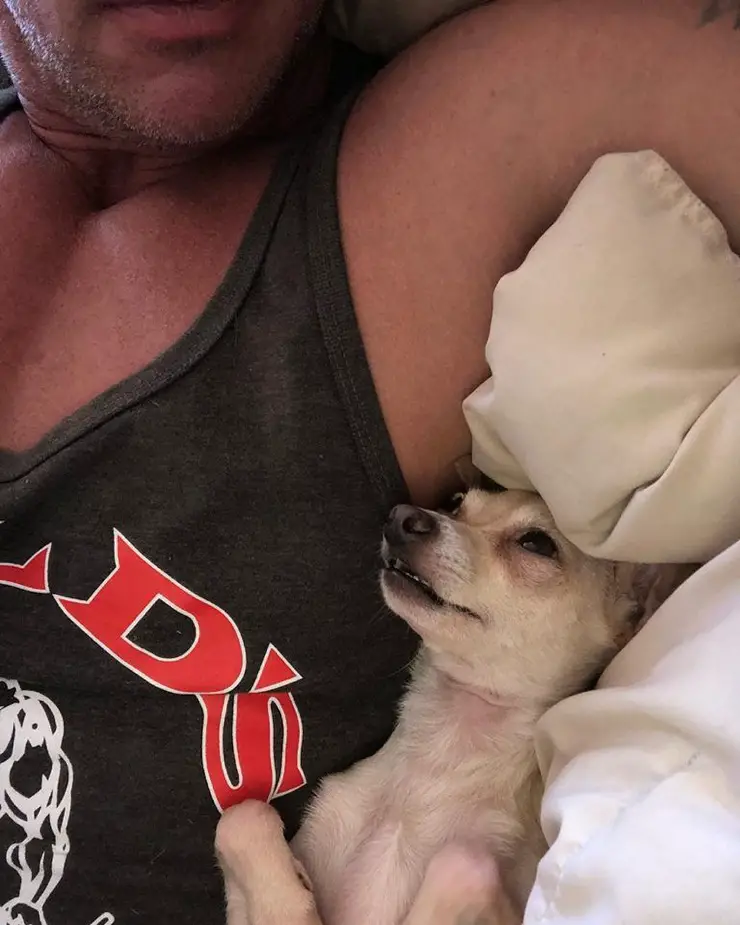 A man lying on the bed with a Chihuahua lying next to him
