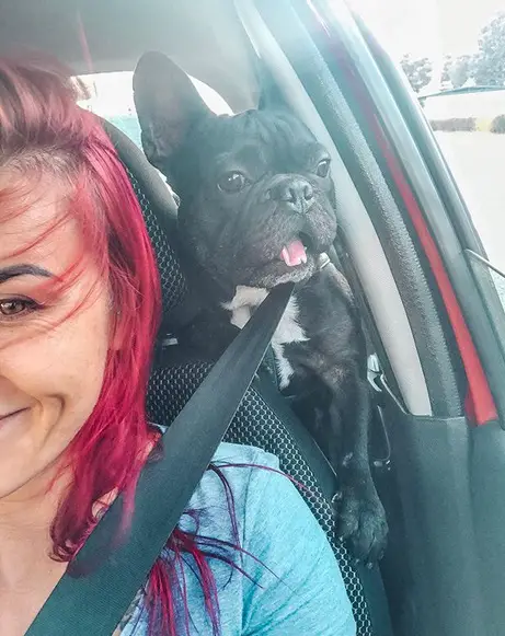 A woman in the driver's seat taking a selfie with her French Bulldog standing and leaning towards her in the backseat