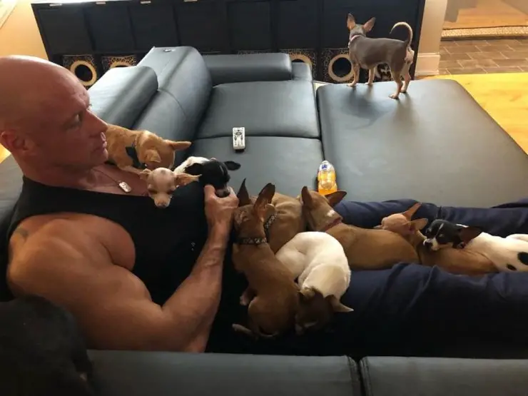 A man sitting on the couch with his Chihuahuas lying on top of his body