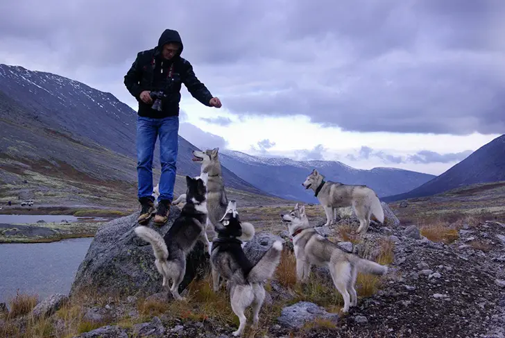 a man standing on top of the rock while his five Huskies are looking at him while standing around him