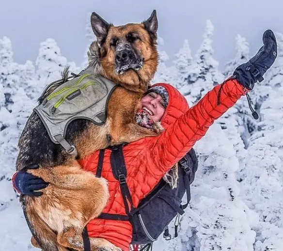 a girl carrying her German Shepherd dog in the snow