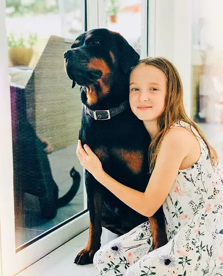 Rottweiler sitting on the floor while being hugged by a young girl