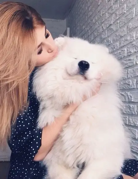 A woman carrying and hugging a Samoyed Dog