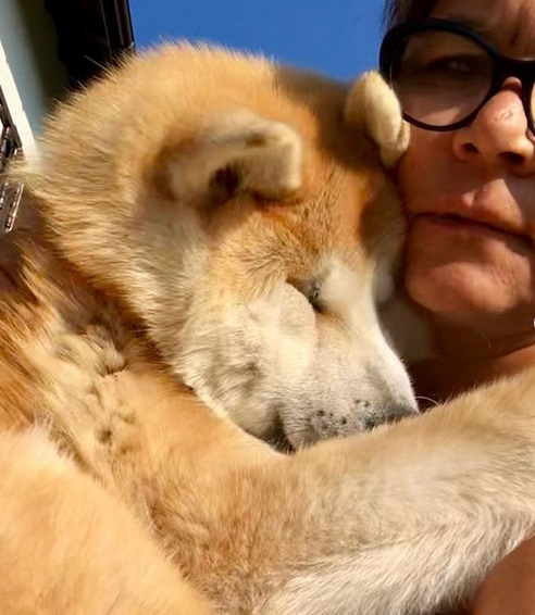 Akita Inu hugging its owner
