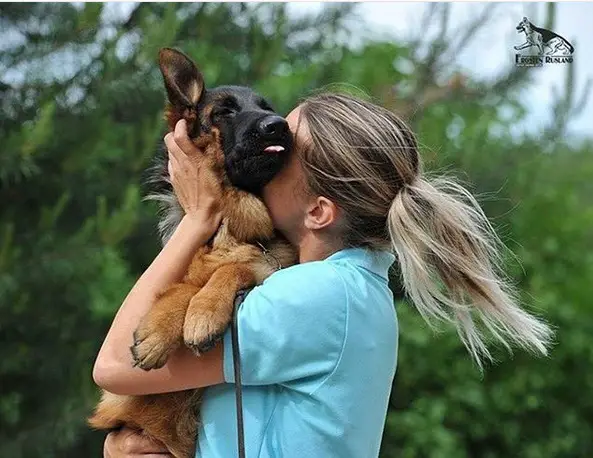 a woman holding and snuggling a German Shepherd puppy