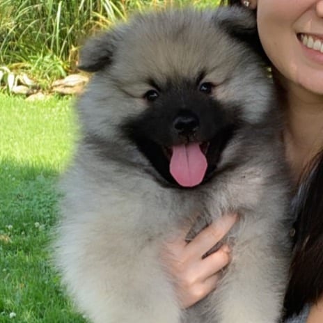 A woman taking a selfie while holding a smiling Keeshond puppy