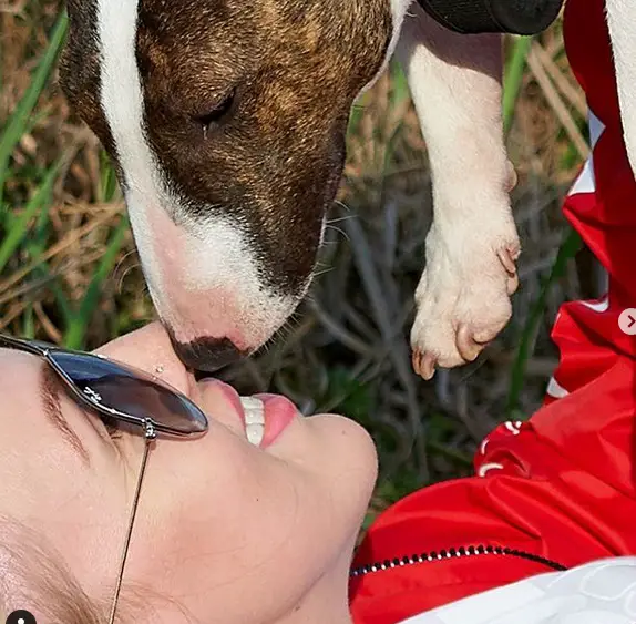 a woman holding up a Bull Terrier