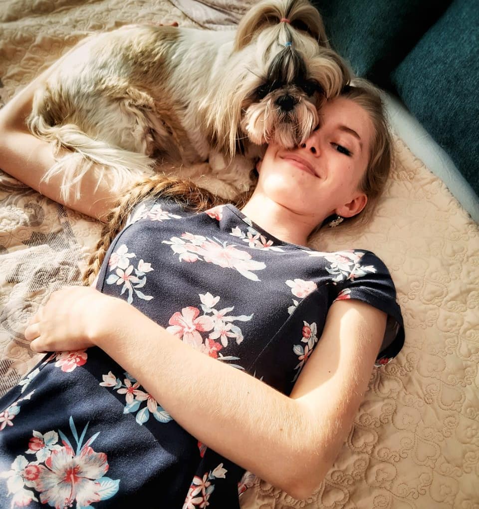 Shih Tzu lying down on the bed with its owner.