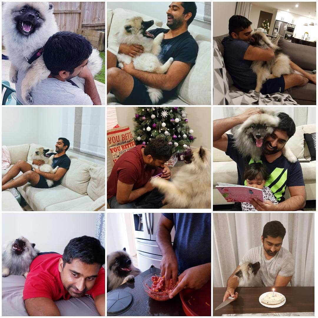 collage photos of a man having moments with his Keeshond
