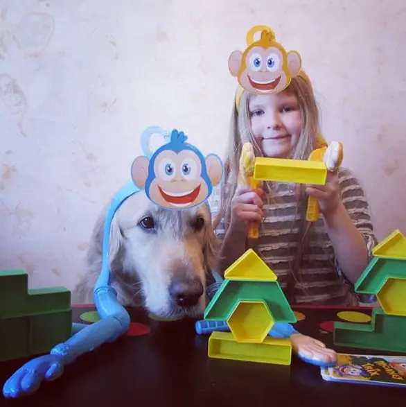 Golden Retriever face on the table with toys while wearing a blue monkey toy next to a girl who is wearing a yellow monkey toy