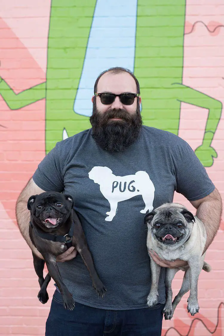 man carrying two Pugs on both his side