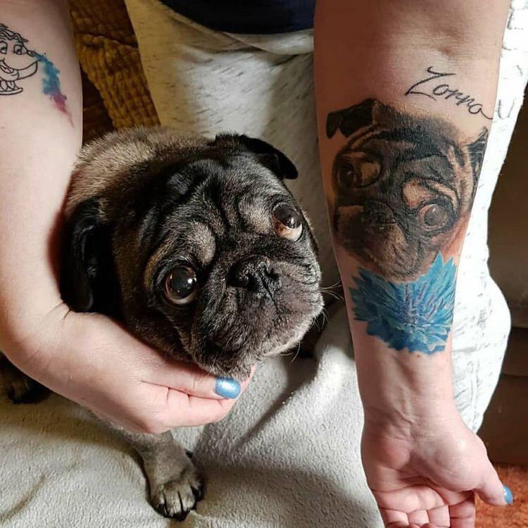 Pug's face tattooed on its owner's arm