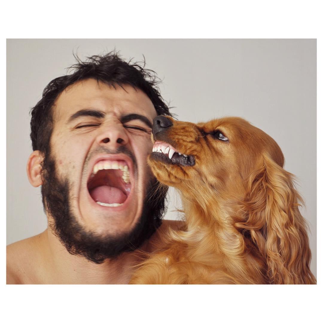 A man shouting beside a growling Cocker Spaniel