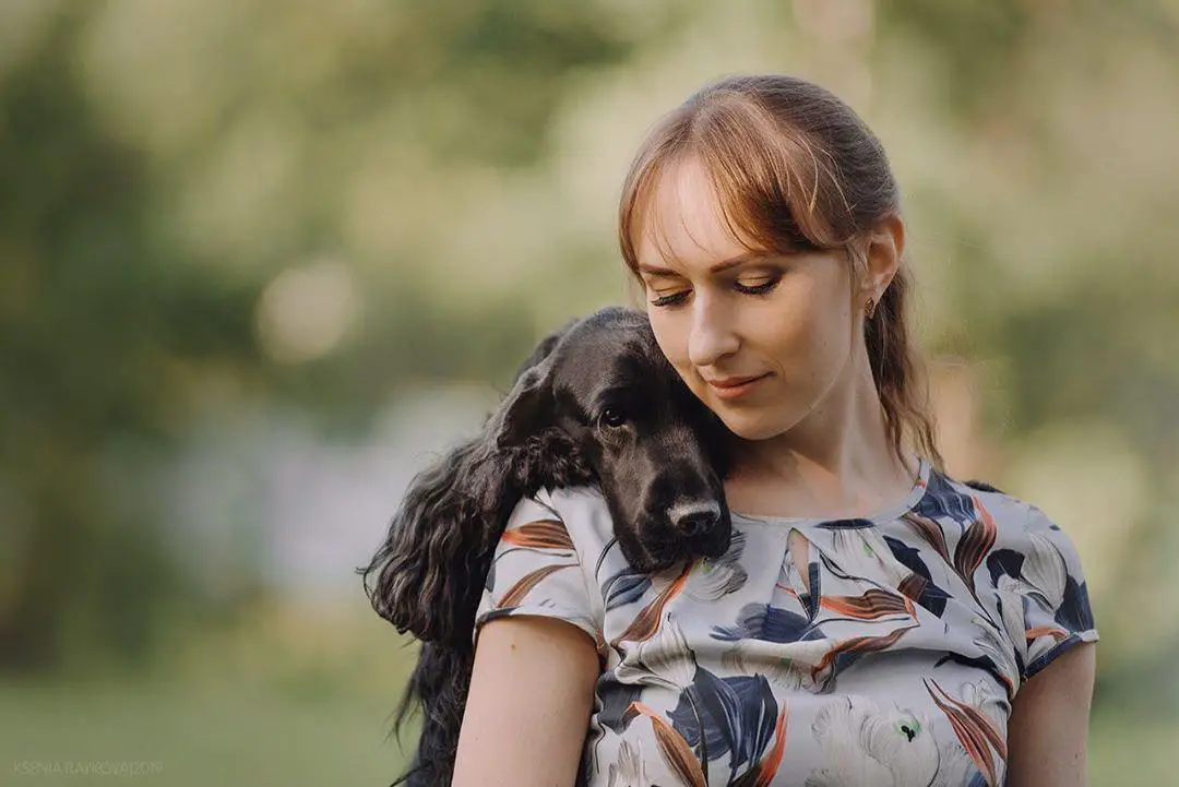 A woman at the park with the face of her black Cocker Spaniel on her shoulder