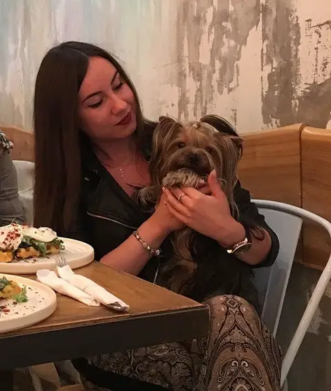 a woman sitting at the table with a Yorkshire Terrier sitting on her lap