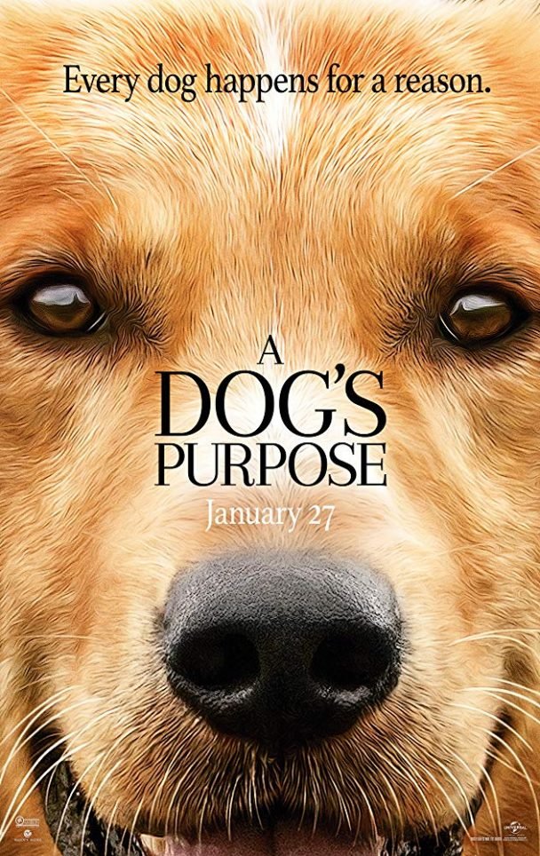 15 Movies About Golden Retrievers