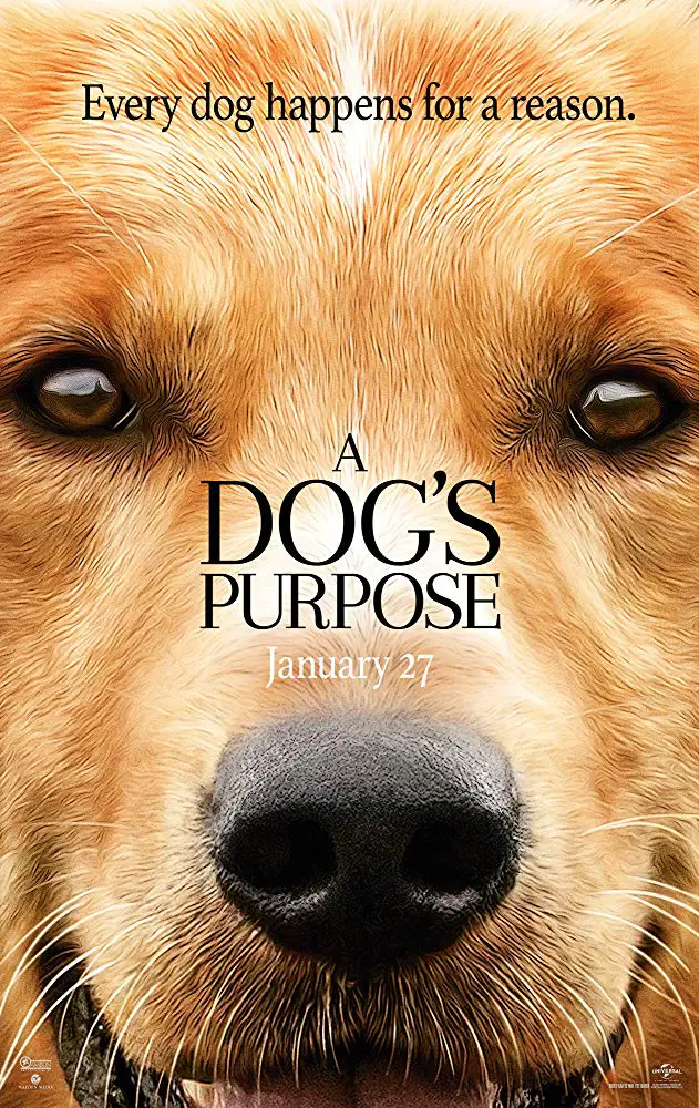 a book cover with the face of a Golden Retriever and title- A Dog’s Purpose (2017)