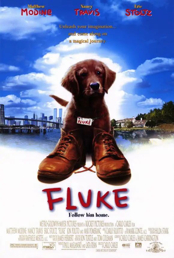 a book cover with a photo of a Golden Retriever wearing shoes and with title - Fluke (1995)