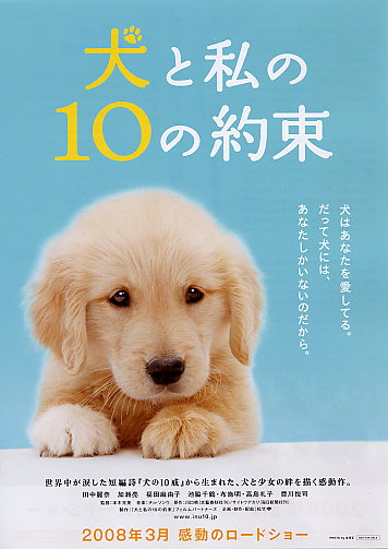 a book cover with a photo of a Golden Retriever puppy lying on the bed and with title - 10 Promises To My Dog (2008)