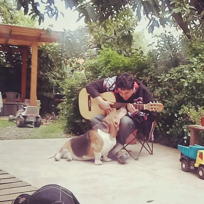 a man playing a guitar to its Basset Hound Dog