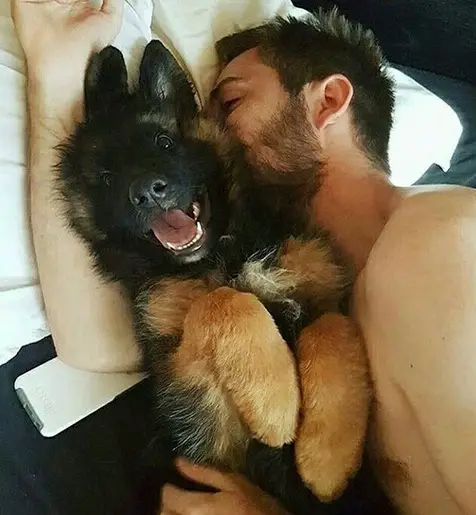 a man lying on the bed while hugging a happy German Shepherd puppy