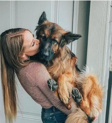 a woman carrying and kissing a German Shepherd