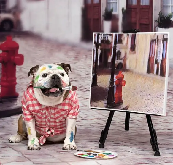 Bulldog wearing a red and white checkered polo with a painting brush in its mouth and a paints all over his face and arms while sitting next to an artwork on a stand in the stree 