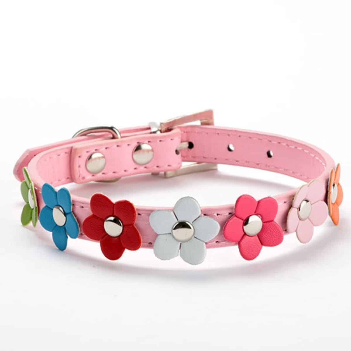 Baby pink dog collar with colorful flowers