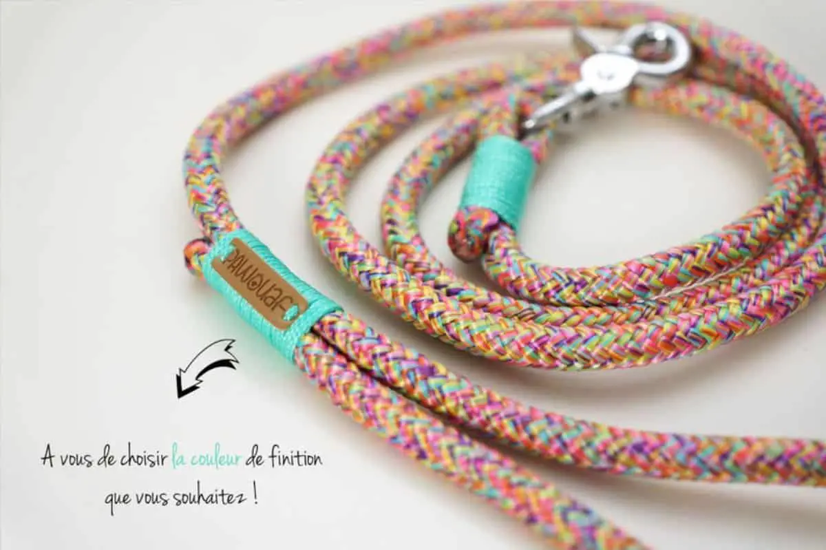 multi colored leash 