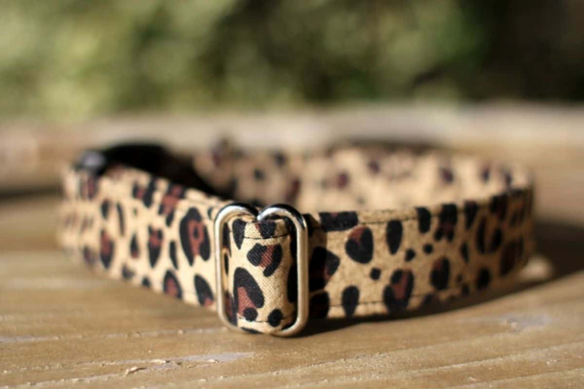 leopard print dog collar 