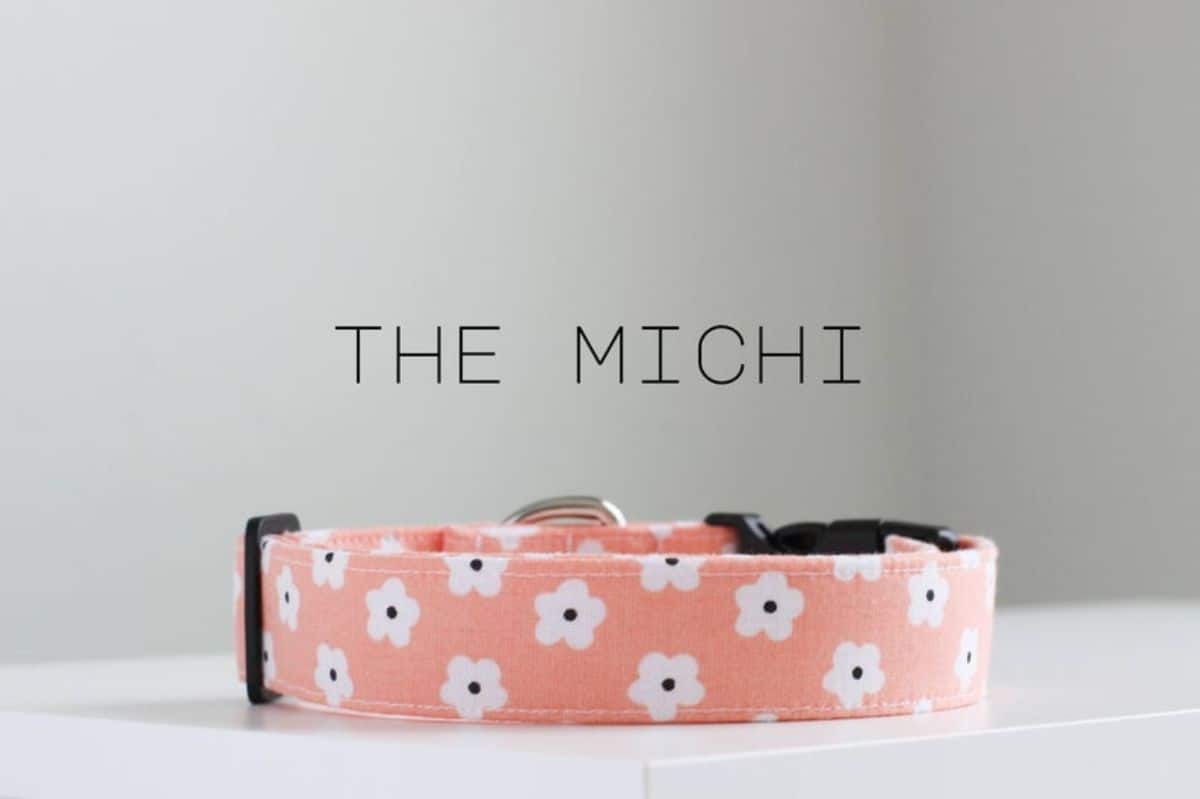 flower pattern dog collar 